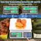 Honhorrs Dual-Display Price-Computing Food Scale, 66-Lb Capacity with Adjustable LCD Backlighting