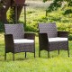 Honhorrs Two PE-Rattan Patio Armchairs, Wide Backrests and Removable Seat Cushions on Steel Frames