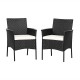 Honhorrs Pair of PE Wicker Patio Armchairs, Steel Frames with Zippered Cushions and Curved Arms
