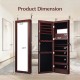 Honhorrs LED Mirrored Jewelry Cabinet, Wall or Door Mount with Ring Slots, Necklace Hooks and Lock