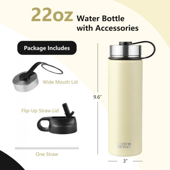 Honhorrs 22-Ounce Insulated Stainless Steel Bottle, Straw and Wide-Mouth Lids with a Carrying Handle