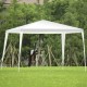 Honhorrs Ten-by-Ten-Foot Outdoor Canopy, Polyethylene Top and Powder-Coated Steel Frame with Stakes