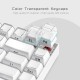 XVX White Crystal Jelly Keycaps, 113-Piece Side-Printed OEM Set for MX-Style Mechanical Switches