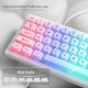 White Clear Keycaps from XVX, 115-Key MDA Set with Translucent PC Surfaces for MX Mechanical Boards